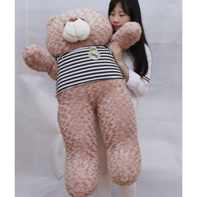 Gấu bông teddy màu vani cao 1m3