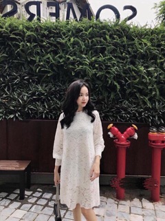 Đầm ren suông tay bo