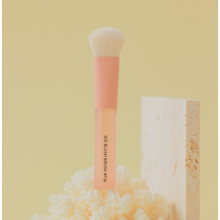 Cọ Trang Điểm Má Hồng 3CE BLUSH BRUSH #F06