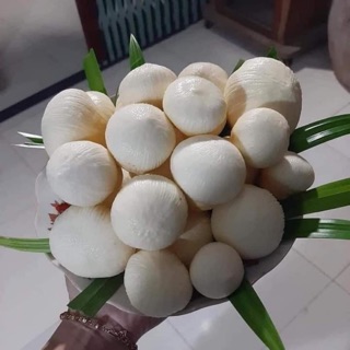 MỘNG DỪA TƯƠI- Hàng Đặt Trước