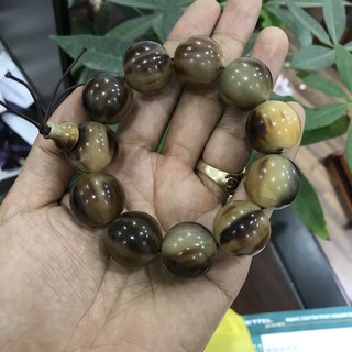 Vòng sừng phong thuỷ - hạt sừng 22mm -Sừng của Ngưu Ma Vương