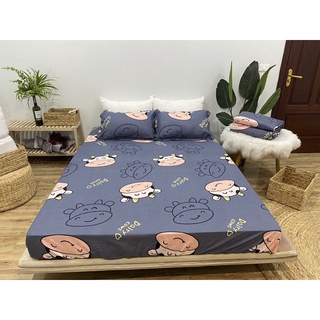 Bộ ga và 2 vỏ gối cotton poly mẫu mới 2021
