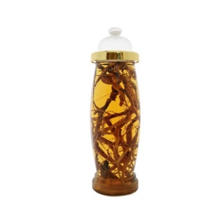 Bình thuỷ tinh ngâm rượu Hàn Quốc 7lit (hình sâm)