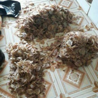 Khô Mực Đồng Tiền ( gói 500gr)