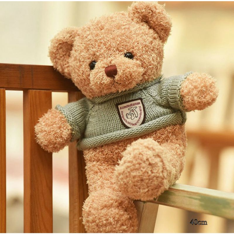 GẤU BÔNG TEDDY 40CM