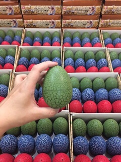 Sét hộp trứng khủng long