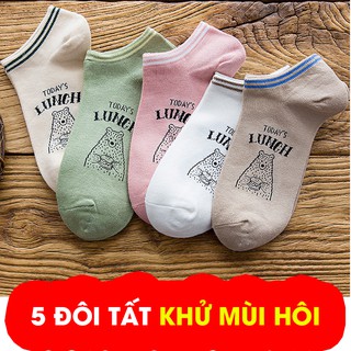 COMBO 5 ĐÔI TẤT CỔ NGẮN