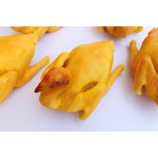 Mô hình con gà luộc giả - mô hình món ăn mockup