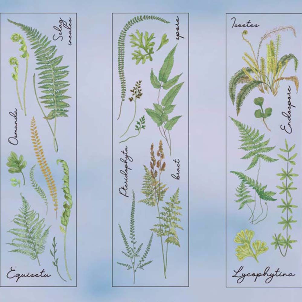 Bộ 6 miếng dán PET hình hoa lá và bướm trang trí album ảnh DIY