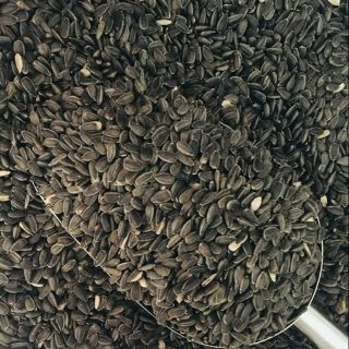 500G HẠT HƯỚNG DƯƠNG ĐEN HẠT NHỎ CHO BỌ Ú, HAMSTER, VẸT, THỎ, GIA CẦM