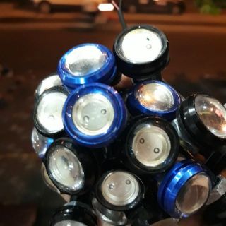 Đèn Xi Nhan Cúc Áo - Một Cặp Giá Siêu Rẻ