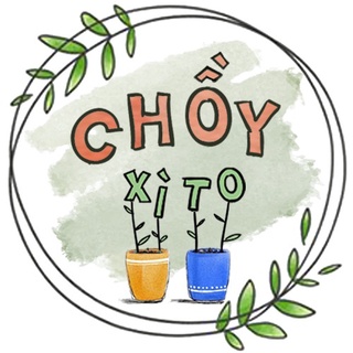 Chồy Xì-to