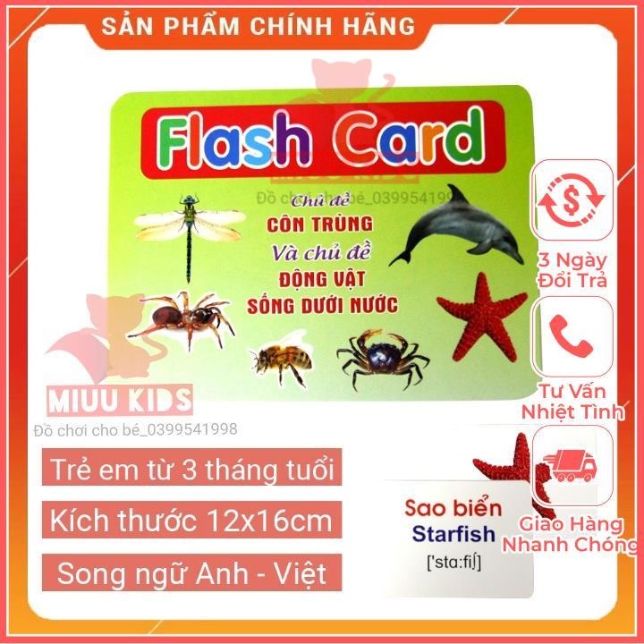 Thẻ HọcThông MinhSong Ngữ Loại To_Flashcard Anh Việt _Chủ Đề Côn Trùng