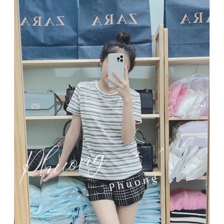 Áo thun Mango Auth