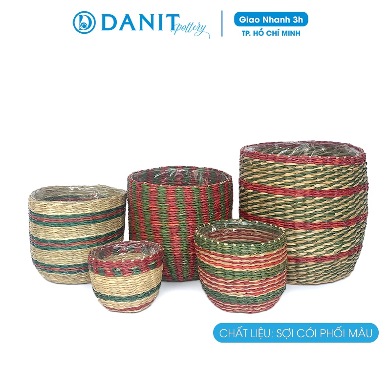 Giỏ cói trồng cây phối màu xen kẽ dáng bo đáy | Giỏ cói decor | Giỏ đụng đồ Danit Pottery