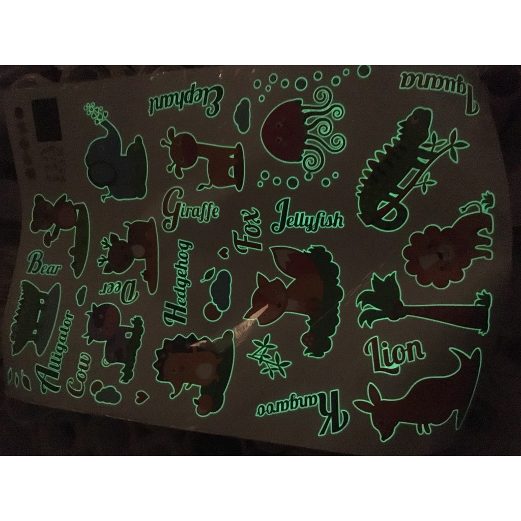 Decal trang trí dạ quang thú tiếng anh ( Kèm Video thật )