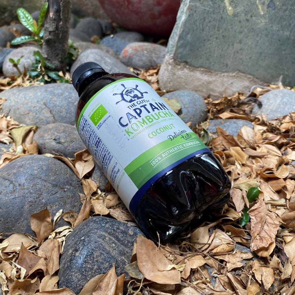 Trà dưỡng sinh Kombucha hữu cơ 400ml The GUTsy Captain