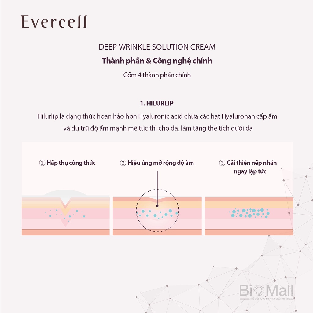 EVERCELL Deep Wrinkle Solution Cream nozzle type