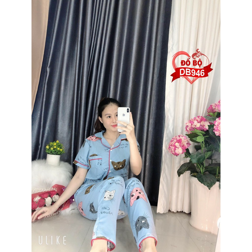 BỘ KATE CAO CẤP HÀNG THIẾT KẾ TAY DÀI QUẦN DÀI HỌA TIẾT CỰC XINH | BigBuy360 - bigbuy360.vn