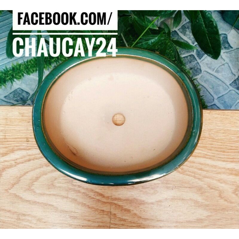 Chậu  bonsai  hàng  bát tràng  cao cấp  ! hình  bầu  dục  nhé  .