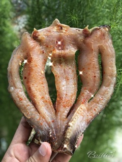 1KG KHÔ CÁ LÓC ĐỒNG THÁP 5-6 con