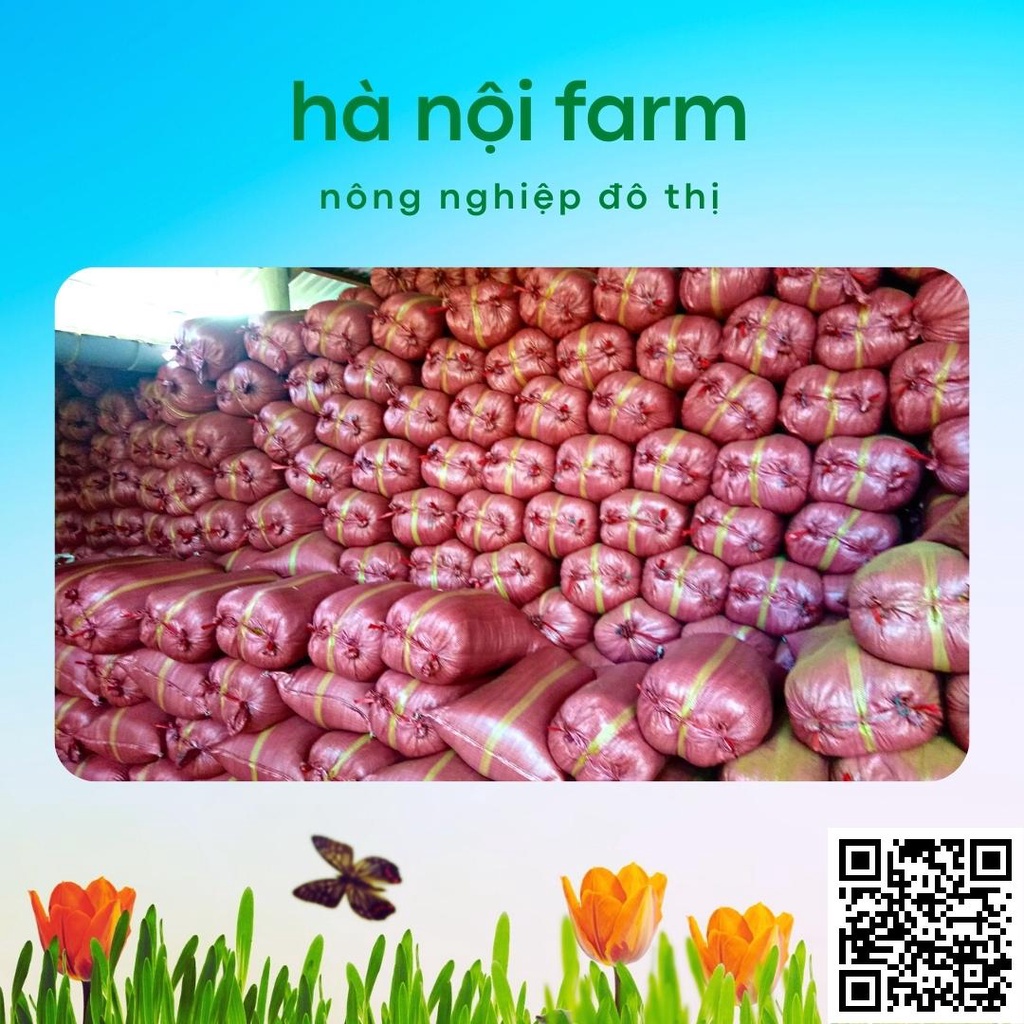 Mùn dừa, xơ dừa trồng cây bao lớn chưa qua xử lý - bao 50dm