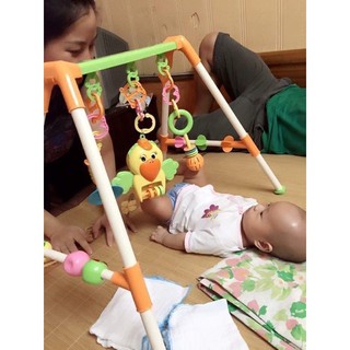 KỆ CHỮ A CON VẸT CHO BÉ
