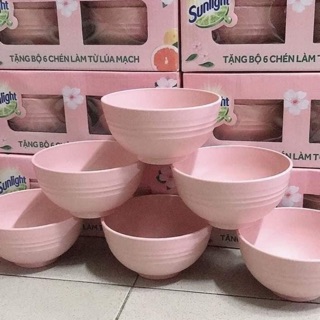 Bộ chén màu pastel lúa mì rất đẹp