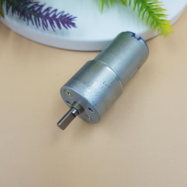 Động Cơ Quay Thịt Xiên MiNi 12V 20 Vòng, Động Cơ GIảm Tốc 12V