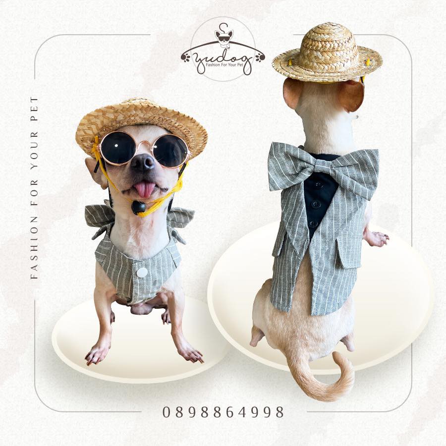 Áo Vest đuôi tôm yudog cho chó mèo thú cưng