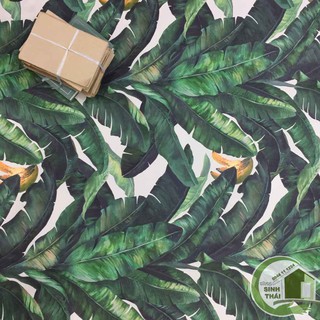 Giấy dán tường lá cây chuối chụp hình ảnh sản phẩm, thảm chụp hình cây chuối