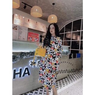 Đầm suong hình