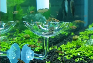 CHÉN CHO TÉP ĂN DÍNH THÀNH HỒ