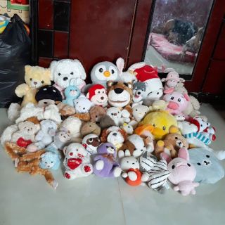 Combo gấu bông đẹp.