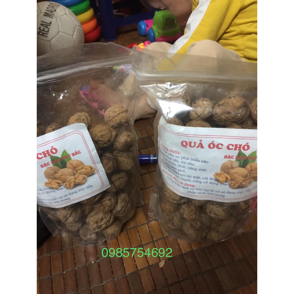 Quả óc chó nguyên vỏ đặc sản Tây Bắc hạt giàu dinh dưỡng