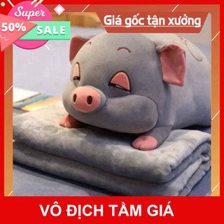 Bộ gối kèm chăn công sở hình heo