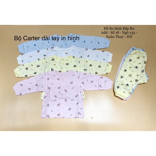 Bộ quần áo sơ sinh Carter dài tay in hình