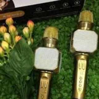MIC KARAOKE SD-10