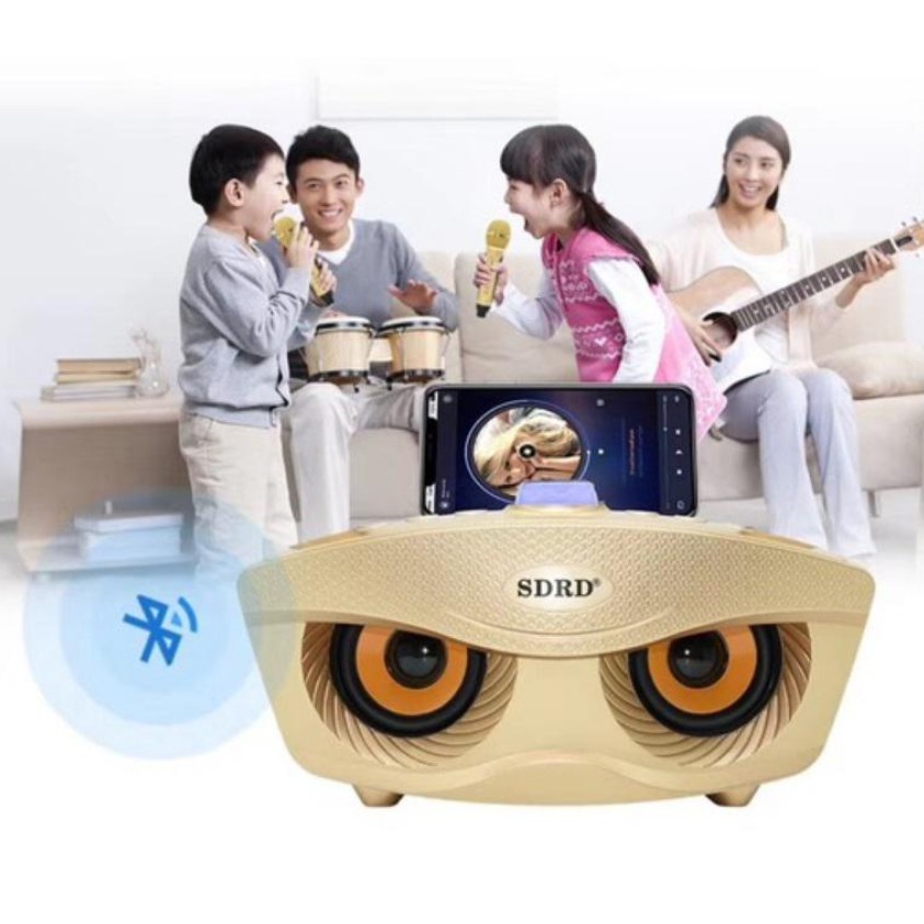 Loa karaoke bluetooth mini SD-306 loa hát karaoke đa năng,Tặng Kèm 2 Mic Không Dây - Bảo hành 6 Tháng
