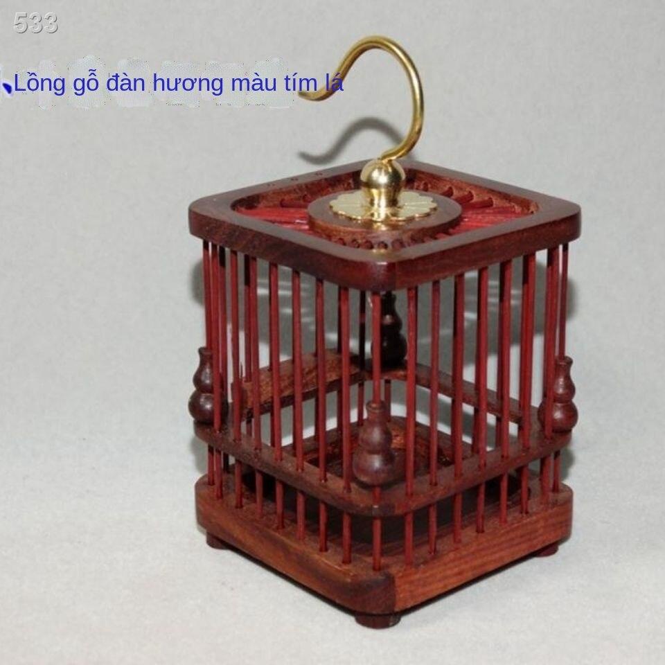 【thanh lý kho】Châu chấu lá nhỏ đàn hương đỏ lồng bầu bí sâu gỗ rắn