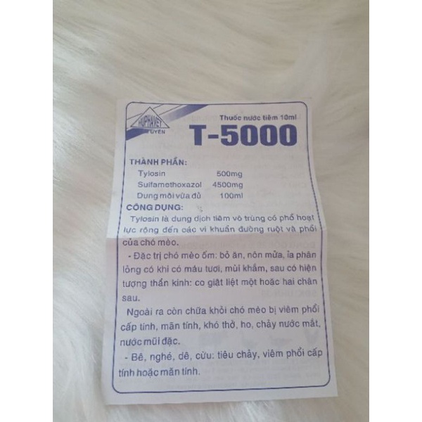 T5000 cho chó mèo 10ml