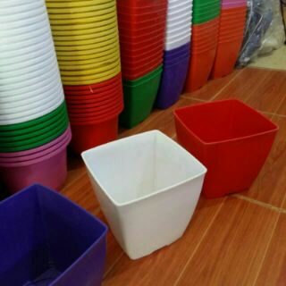 10 bầu nhựa trồng cây vuông 16cm ×16cm