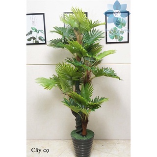 Cây giả 🌺 cây cọ giả trang trí cao 1,8m