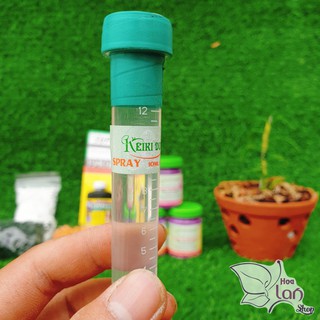 Keiki duy xanh ⚜️freeship⚜️ spray kích mầm - kích kie hoa lan