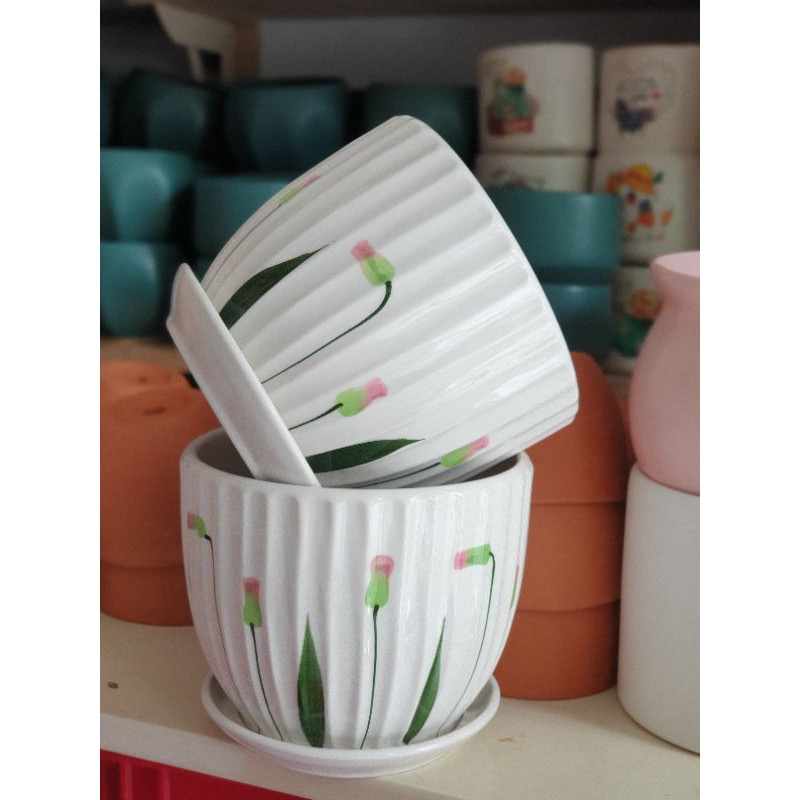 Chậu hạt dẻ bộ trồng sen đá và cây cảnh để bàn