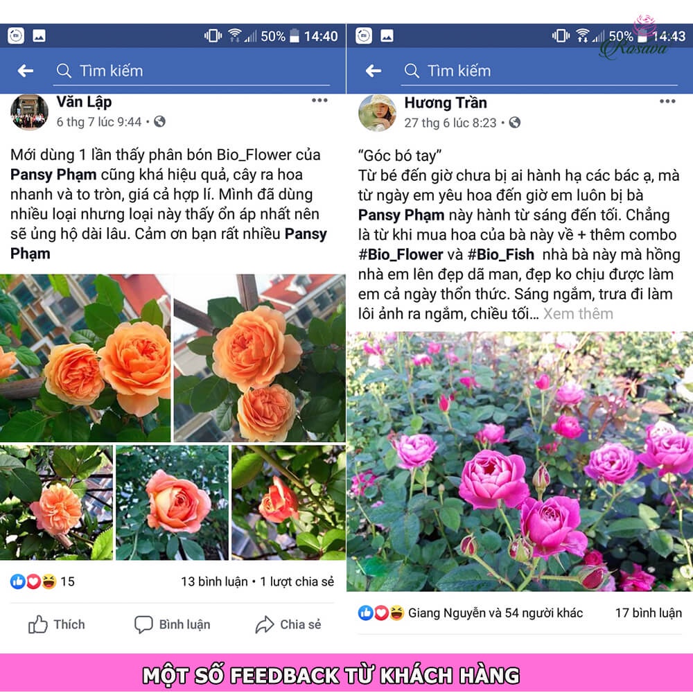 Phân bón hữu cơ vi sinh kích thích ra hoa Rosava can 4L rẻ cho cây cảnh, hoa hồng, hoa giấy, hoa lan, sen đá