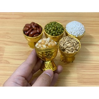 Combo 5 Ly vàng ngũ đậu chưng Thần Tài