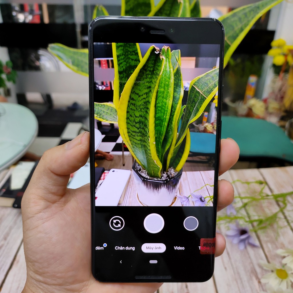 Điện thoại Google pixel 3 XL,Snap 845,P-Oled 6.3’’2k+