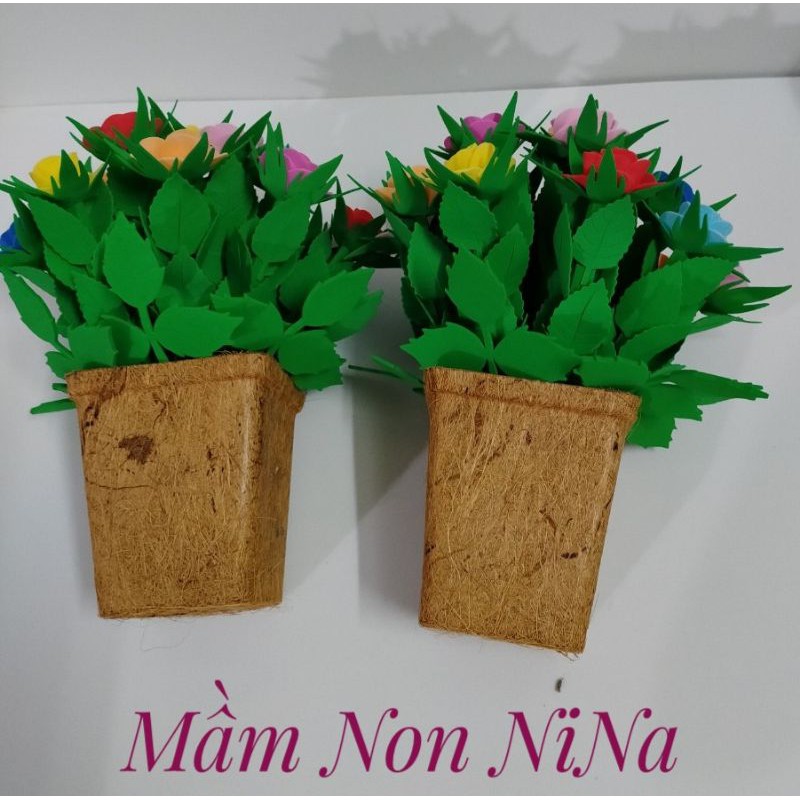 Chậu hoa hồng 15 bông