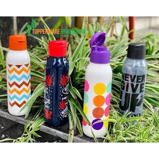 Bình Nước Eco Bottle Fancy 750ml - Tupperware